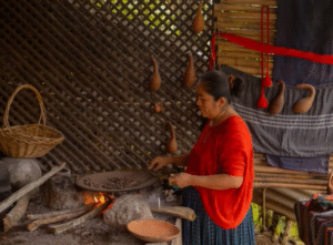 Le cacao équitable: une question de survie pour la communauté maya